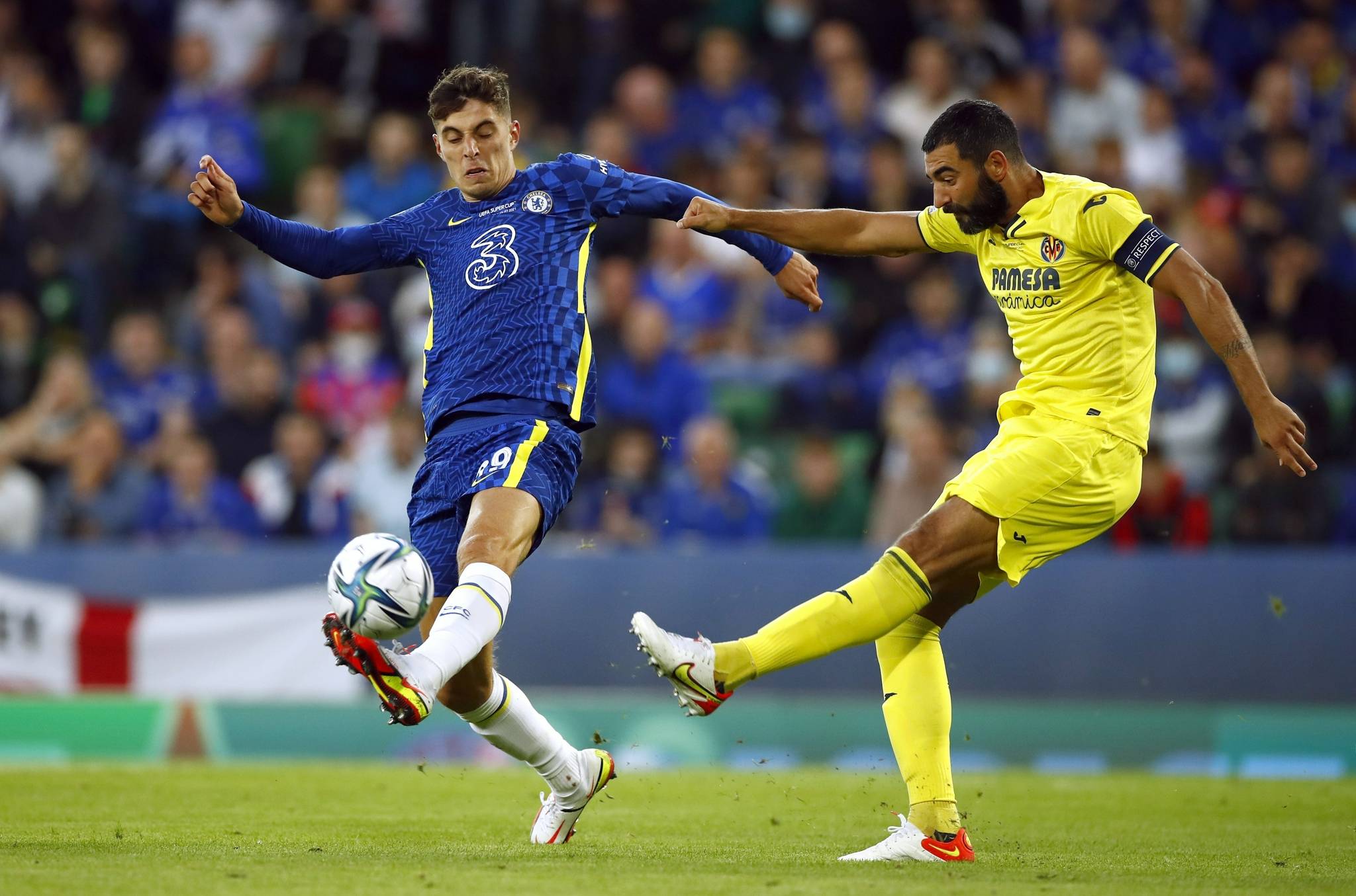 充满活力的 充满活力的